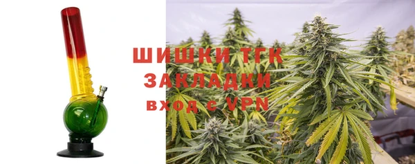 шишки Михайловка