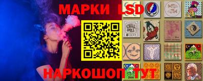 мдпв Гатчина