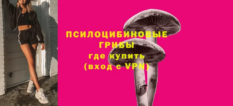 купить  сайты  Алексеевка  Галлюциногенные грибы MAGIC MUSHROOMS 