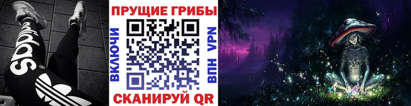 Галлюциногенные грибы ЛСД Алексеевка