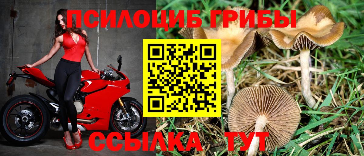 Галлюциногенные грибы MAGIC MUSHROOMS  Вход с VPN  Алексеевка 