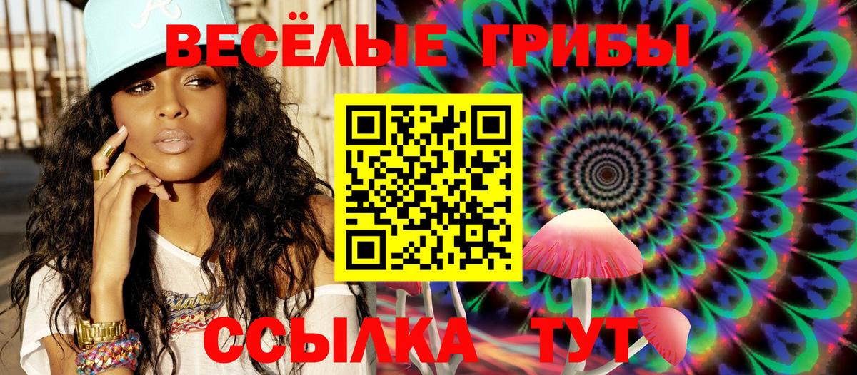 как найти   Алексеевка  Галлюциногенные грибы Psilocybine cubensis 