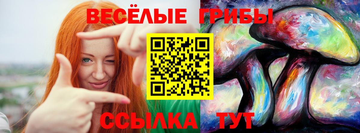 Алексеевка  Галлюциногенные грибы GOLDEN TEACHER  Вход с VPN 
