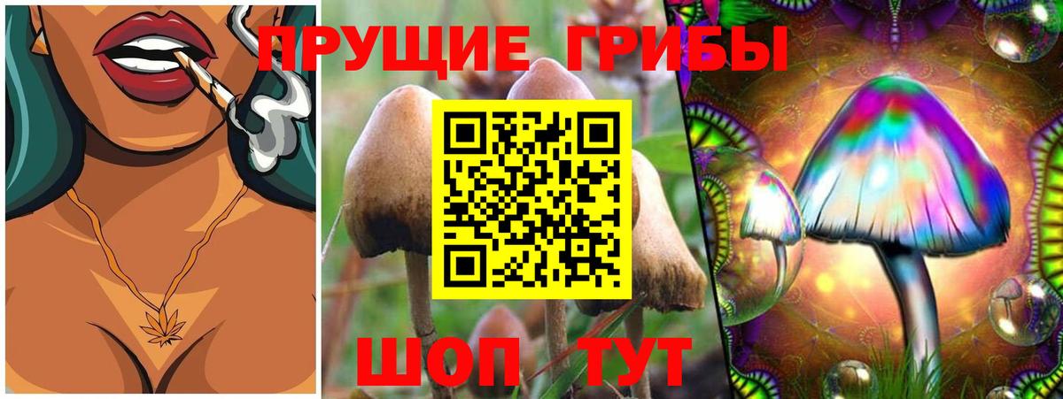 Галлюциногенные грибы Magic Shrooms Алексеевка