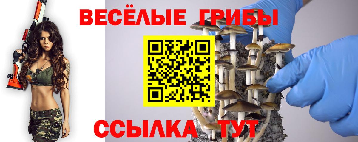 Псилоцибиновые грибы Psilocybe Алексеевка