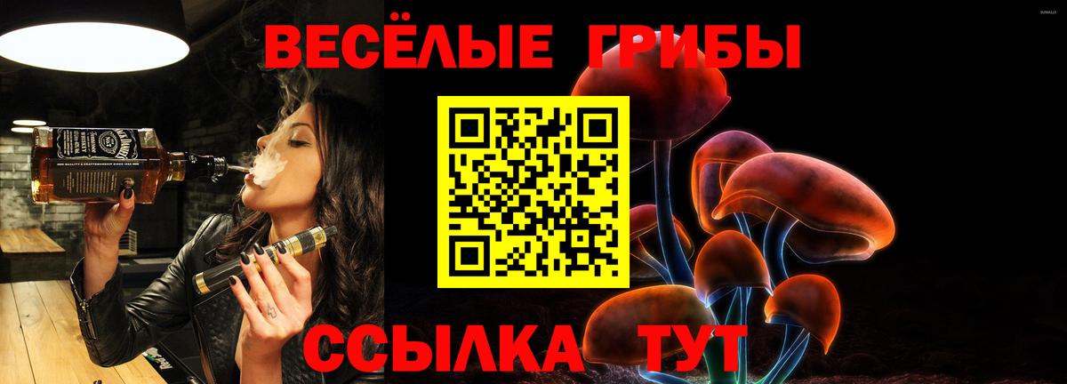 Галлюциногенные грибы ЛСД Алексеевка